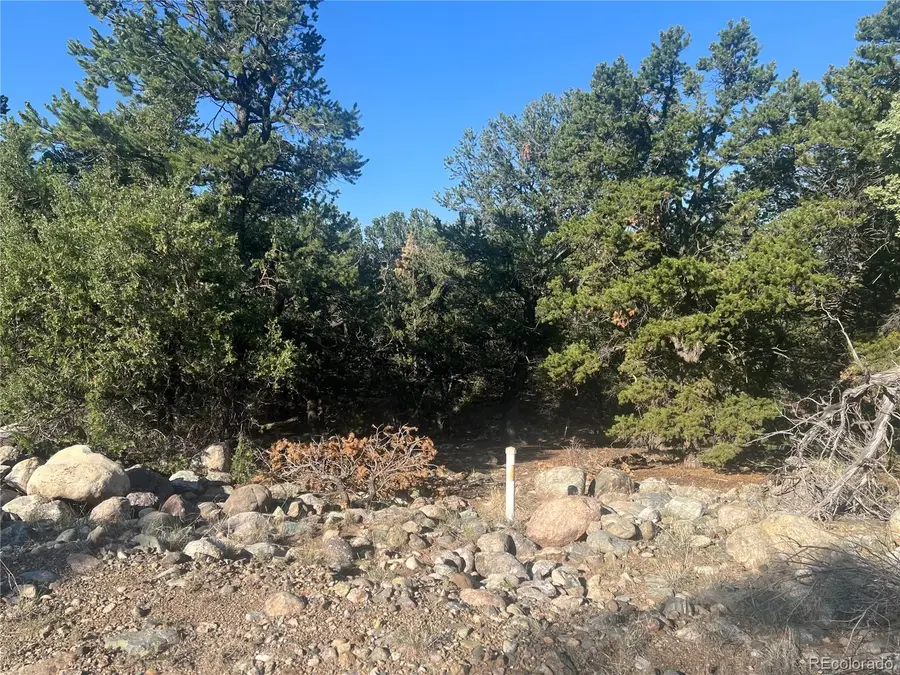 3587 3588 Alfresco Way, Crestone, CO 81131 - #3