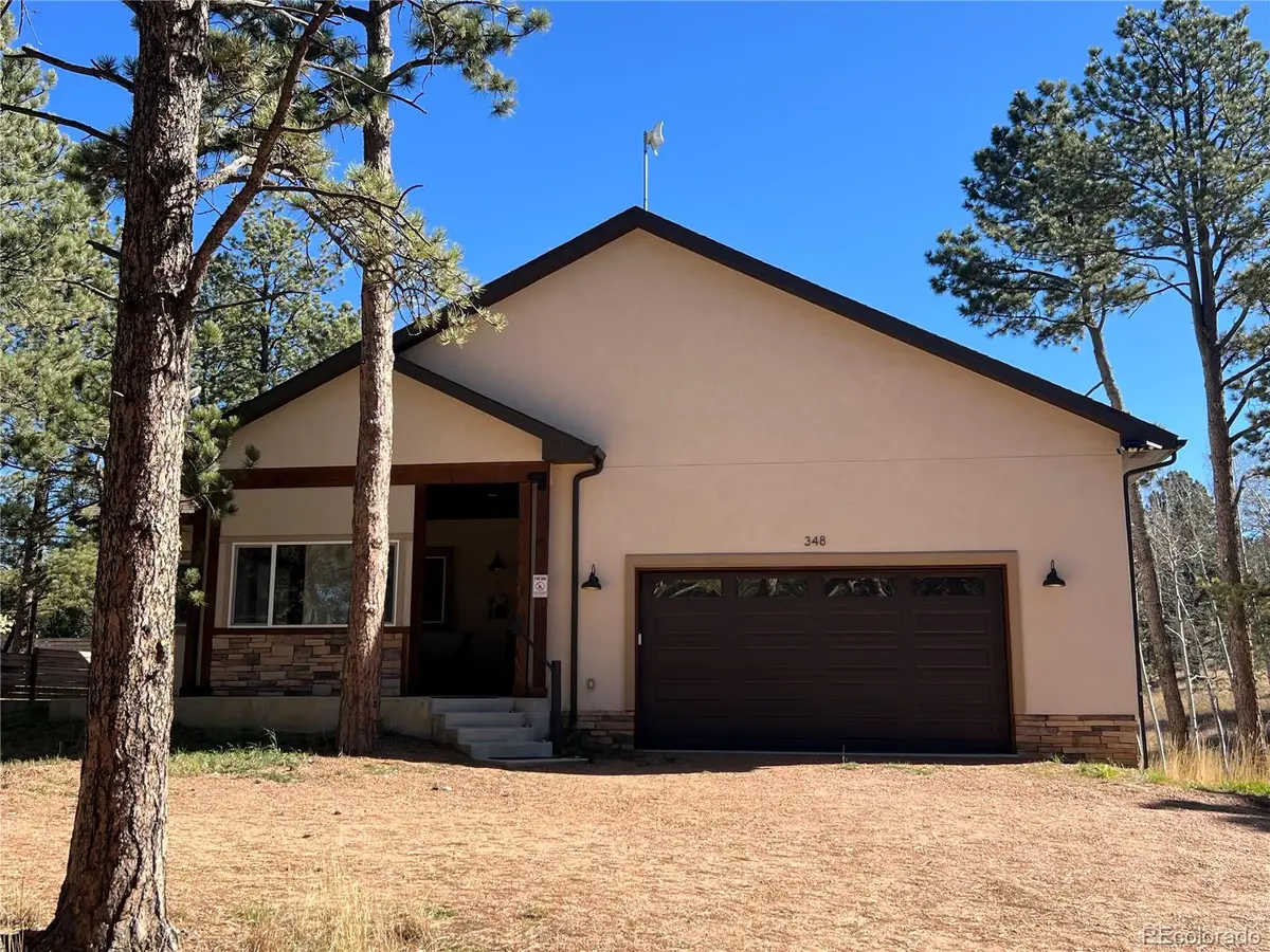 348 Duesouth Road, Florissant, CO 80816 - #1