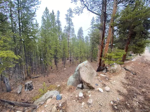 143 Juniper Drive, Twin Lakes, CO 81251