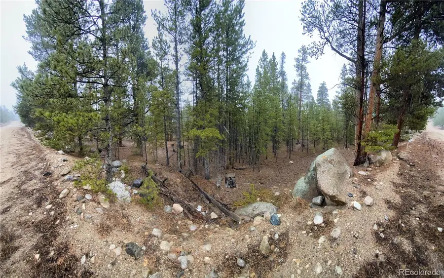 143 Juniper Drive, Twin Lakes, CO 81251 - #2