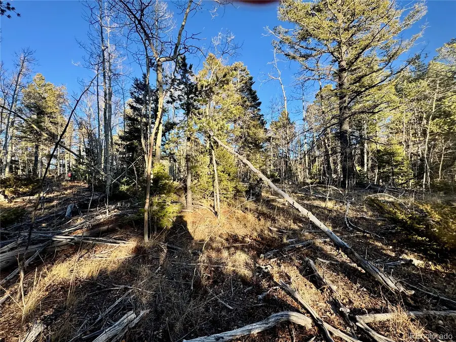 lot 5888 Balleroy Road, Fort Garland, CO 81152 - Image #2