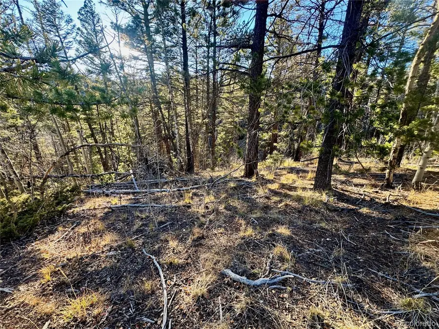 lot 5888 Balleroy Road, Fort Garland, CO 81152 - Image #3