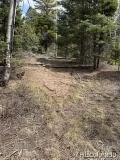 Lot 2711 Sleger Road, Fort Garland, CO 81133