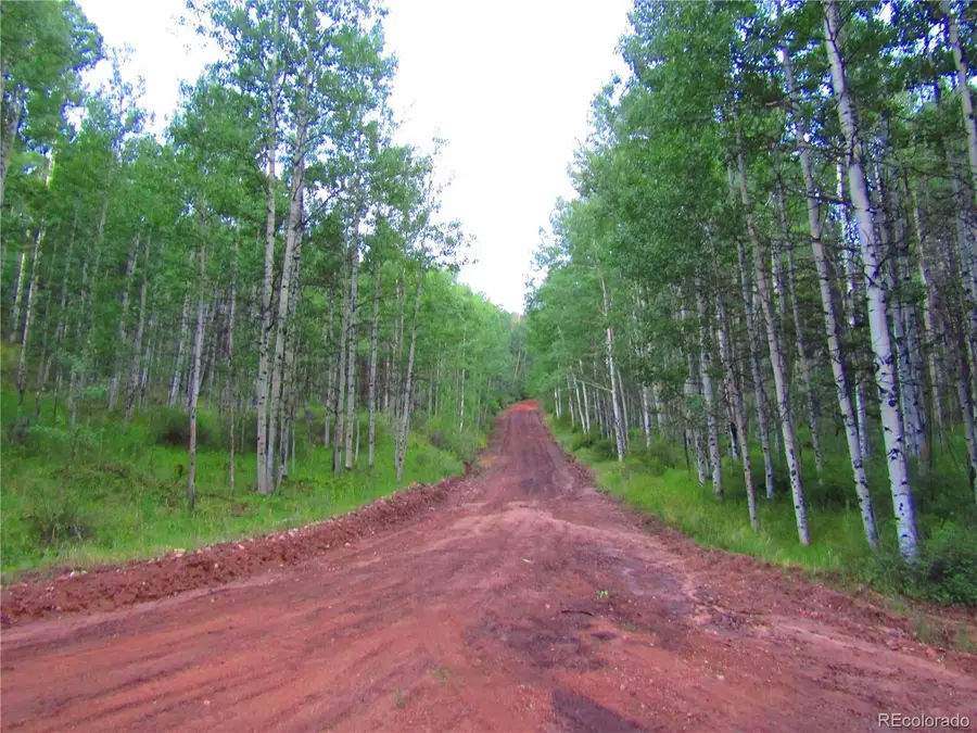 LOT 6324 Barbara Road, San Luis, CO 81152 - #3