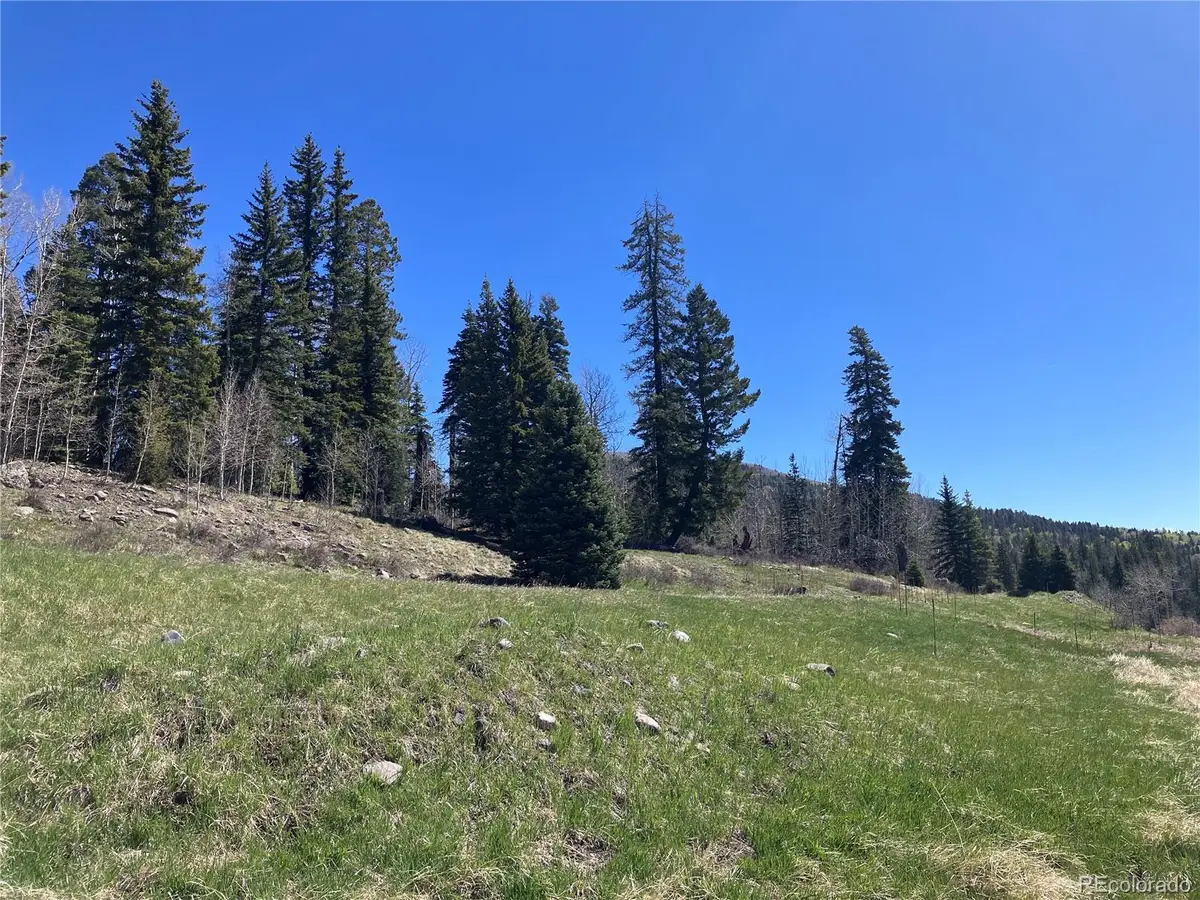 222 Lost Valley Drive, Creede, CO 81130 - #1