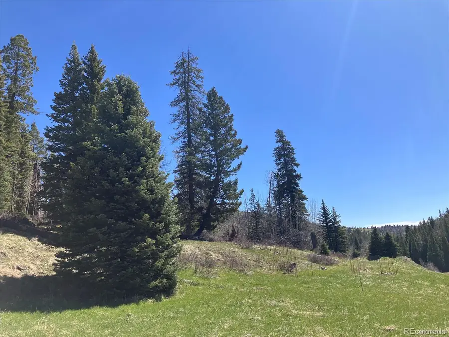 222 Lost Valley Drive, Creede, CO 81130 - #3