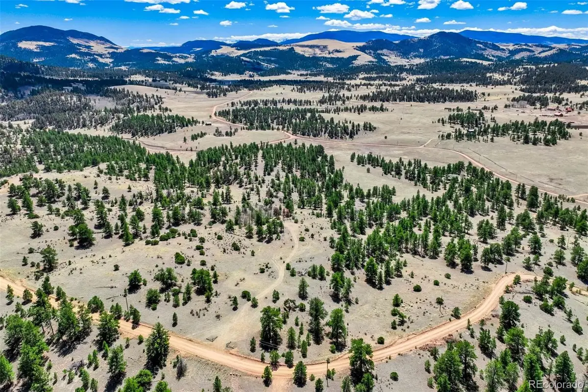 422 Buck Drive, Guffey, CO 80820 - #1