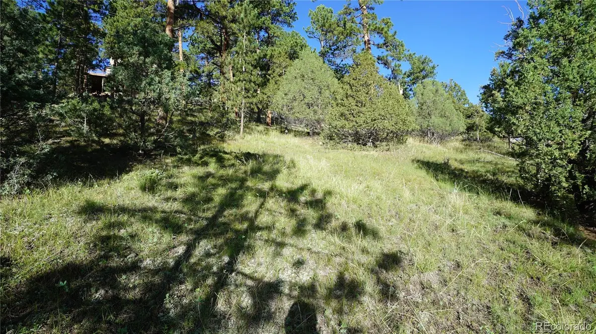 Bob Cat Trail, Bailey, CO 80421 - #1