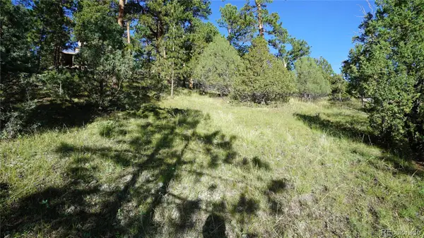 Bob Cat Trail, Bailey, CO 80421