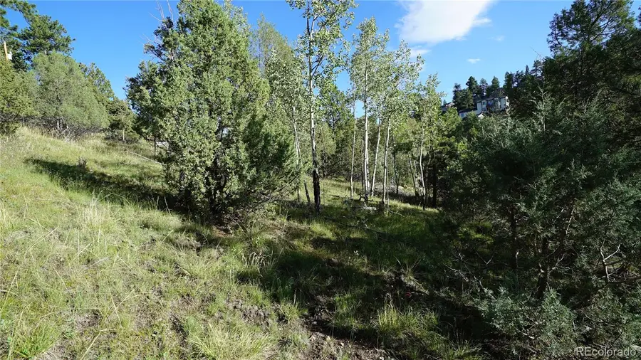 Bob Cat Trail, Bailey, CO 80421 - #2