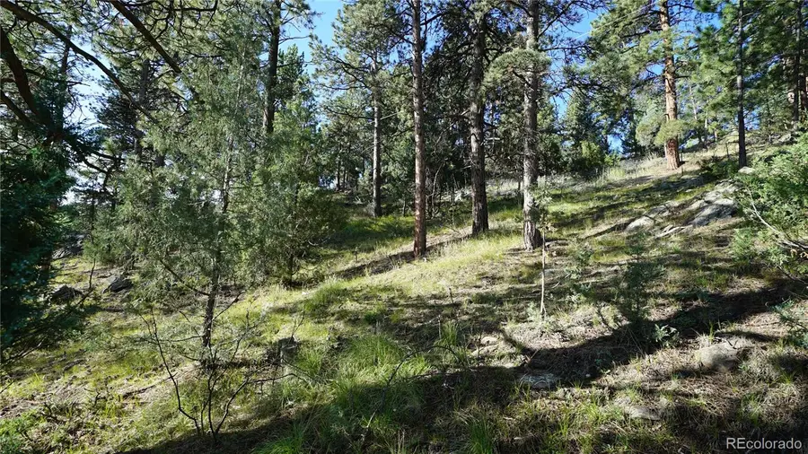 Bob Cat Trail, Bailey, CO 80421 - #3