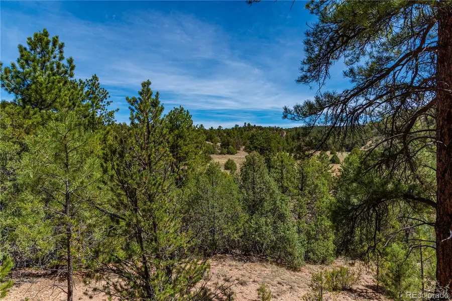 TBD L Arnold Drive, Cotopaxi, CO 81223 - #2