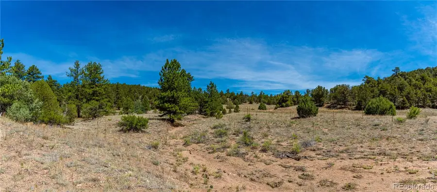 TBD L Arnold Drive, Cotopaxi, CO 81223 - #3