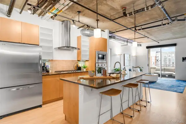 2229 Blake Street #501, Denver, CO 80205