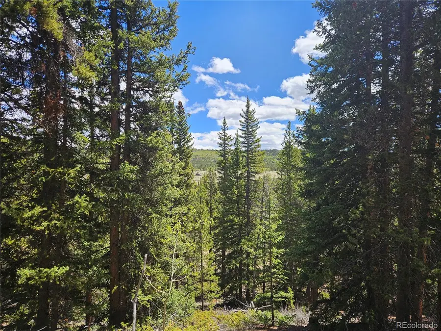 Looney Lane, Fairplay, CO 80440 - #3