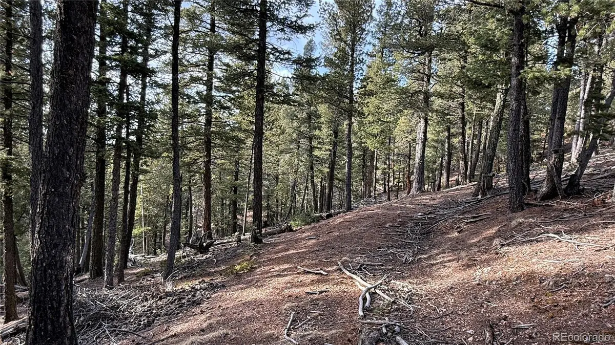 461 Paradiso Road, Divide, CO 80814 - #1