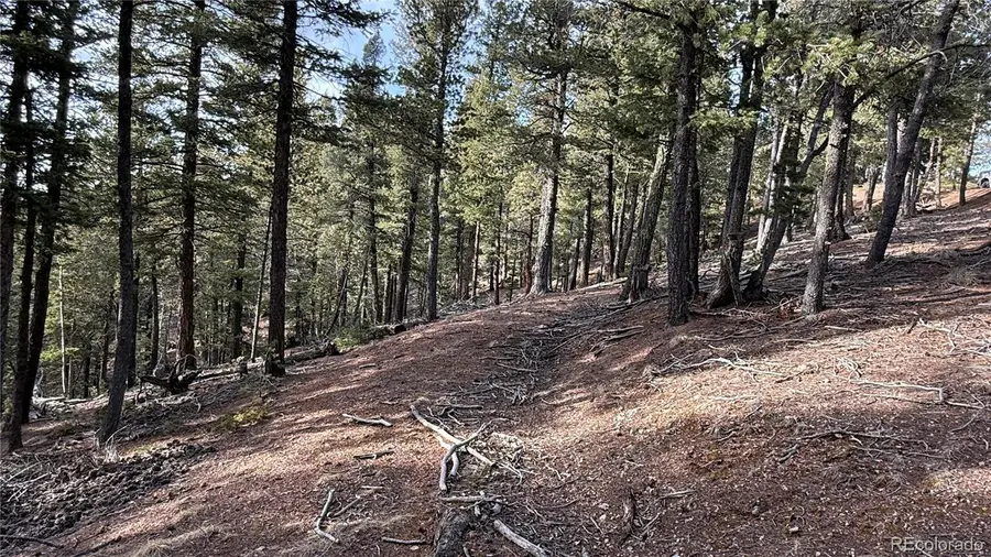 461 Paradiso Road, Divide, CO 80814 - #3