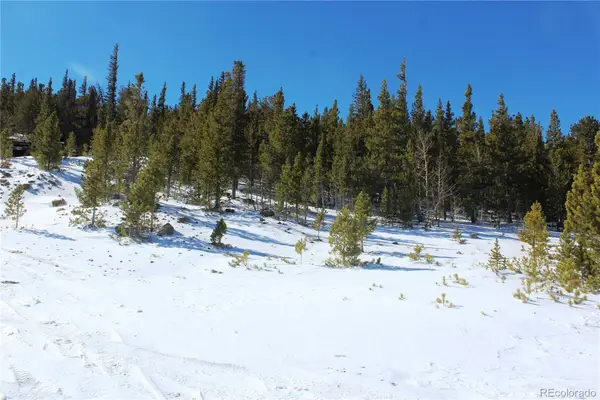 309 Aspen, Idaho Springs, CO 80453