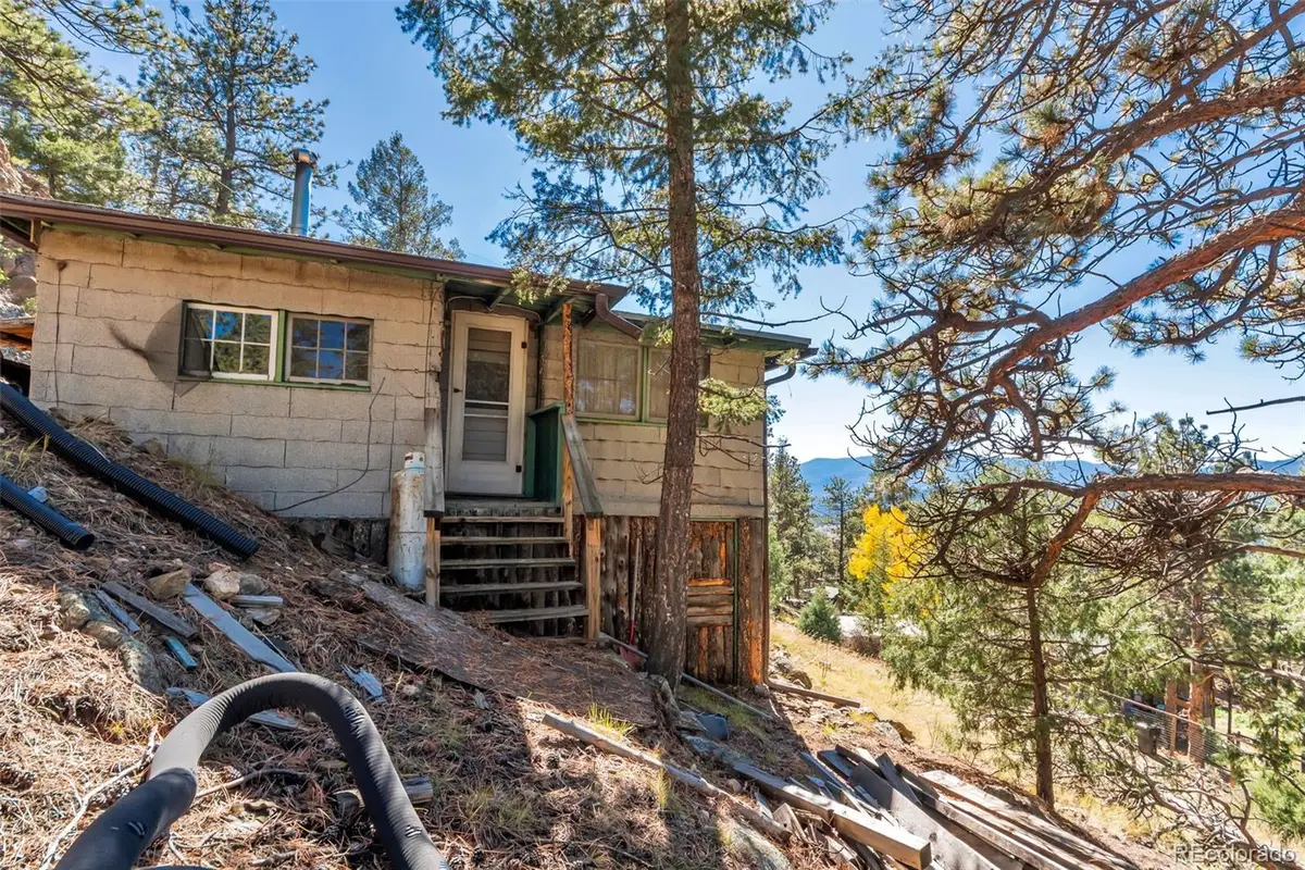 34317 Mineral, Pine, CO 80470 - #1