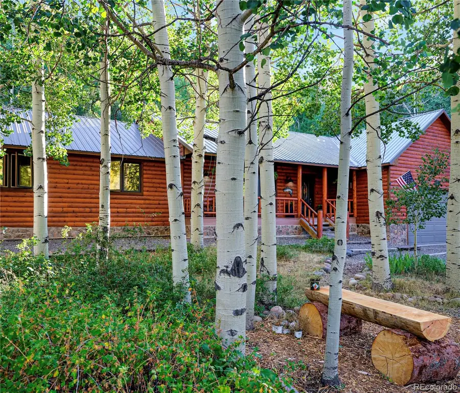 6 Bear Paw S Court, Antonito, CO 81120 - #2