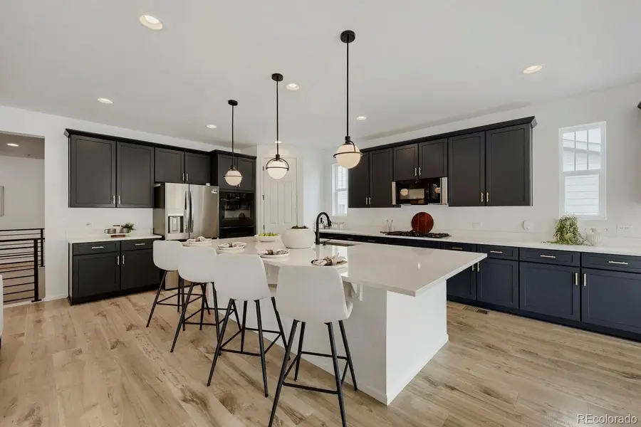 5208 Silver Hare Court, Castle Rock, CO 80104 - #3