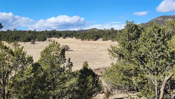 311 Kit Carson Trail, Cotopaxi, CO 81223