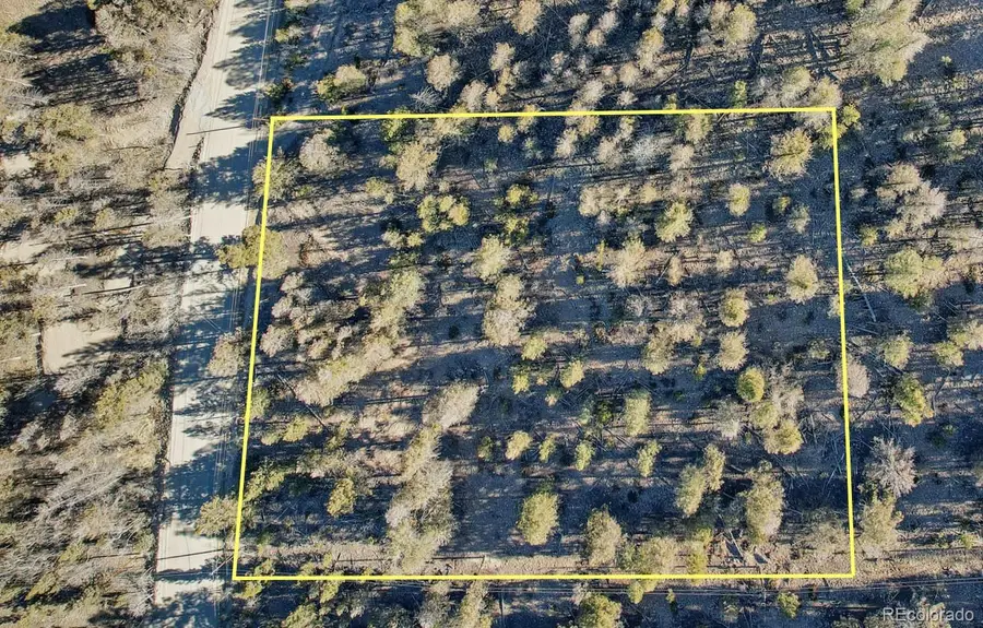 1467 Redhill Road, Fairplay, CO 80440 - #3