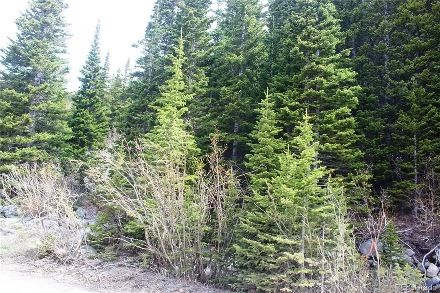 00 Mine Road, Saint Marys, CO 80461 - #3