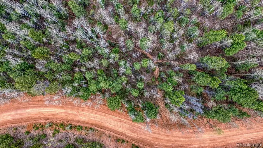 1218 Calcite Drive, Divide, CO 80814 - Image #3