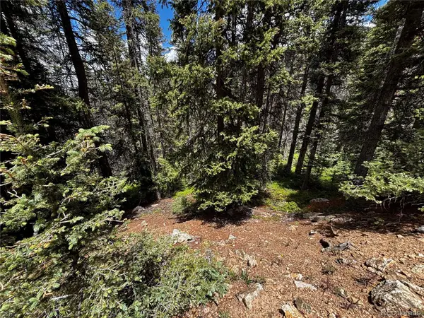 00 Forbes Rd, Fort Garland, CO 81133