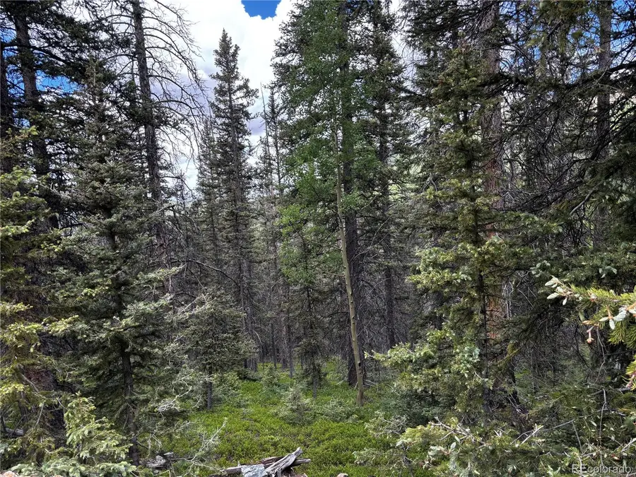 00 Forbes Rd, Fort Garland, CO 81133 - #3
