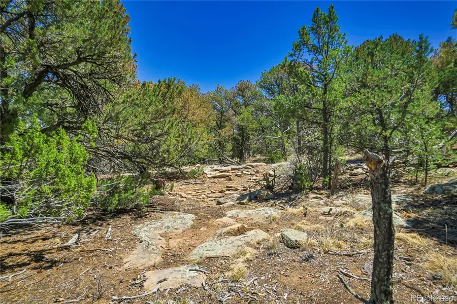 Rikki Rowdy Place, Aguilar, CO 81020 - #3