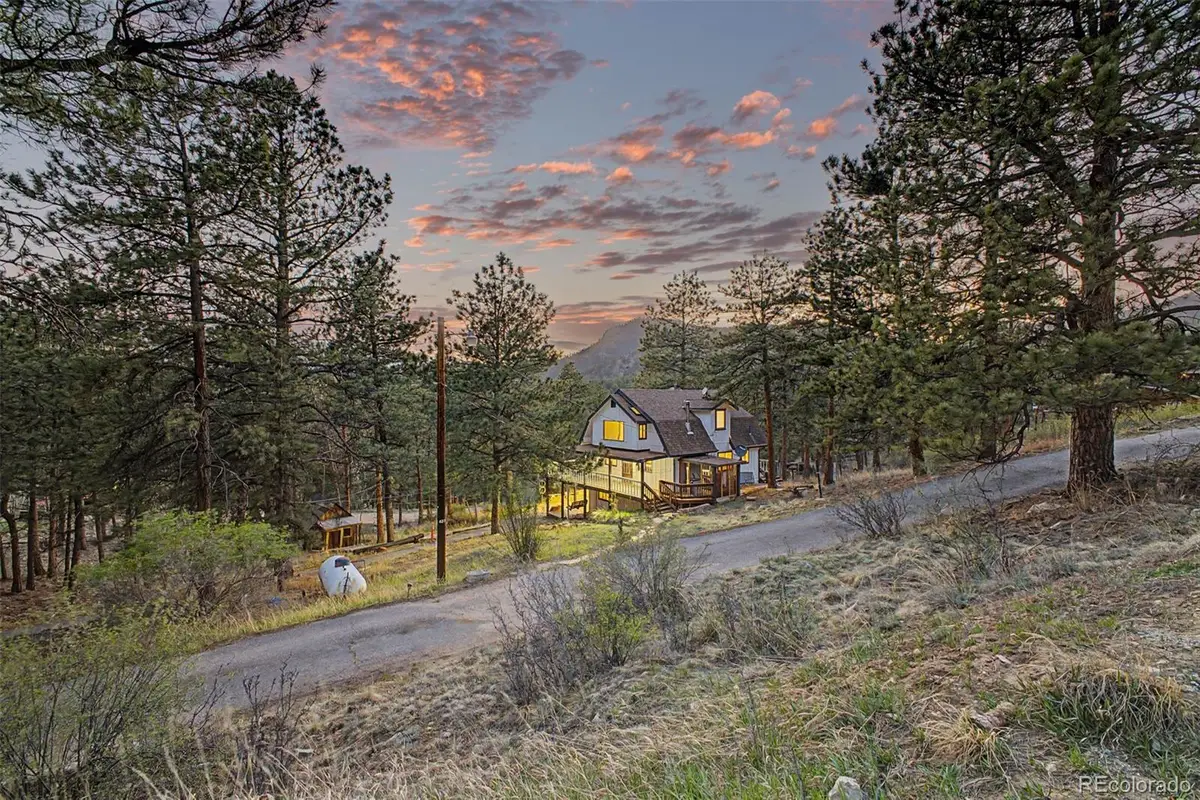 145 Bailey Drive, Bailey, CO 80421 - #1