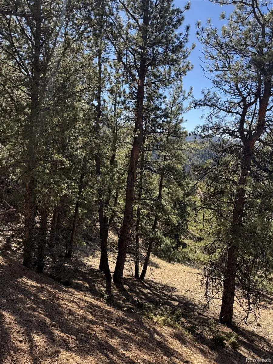 1440 Pikes Peak Drive, Divide, CO 80814 - Image #1
