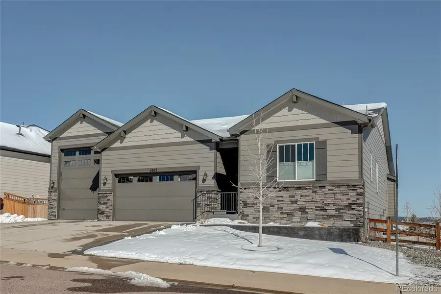 6602 Mentha Drive, Castle Rock, CO 80108 - #2