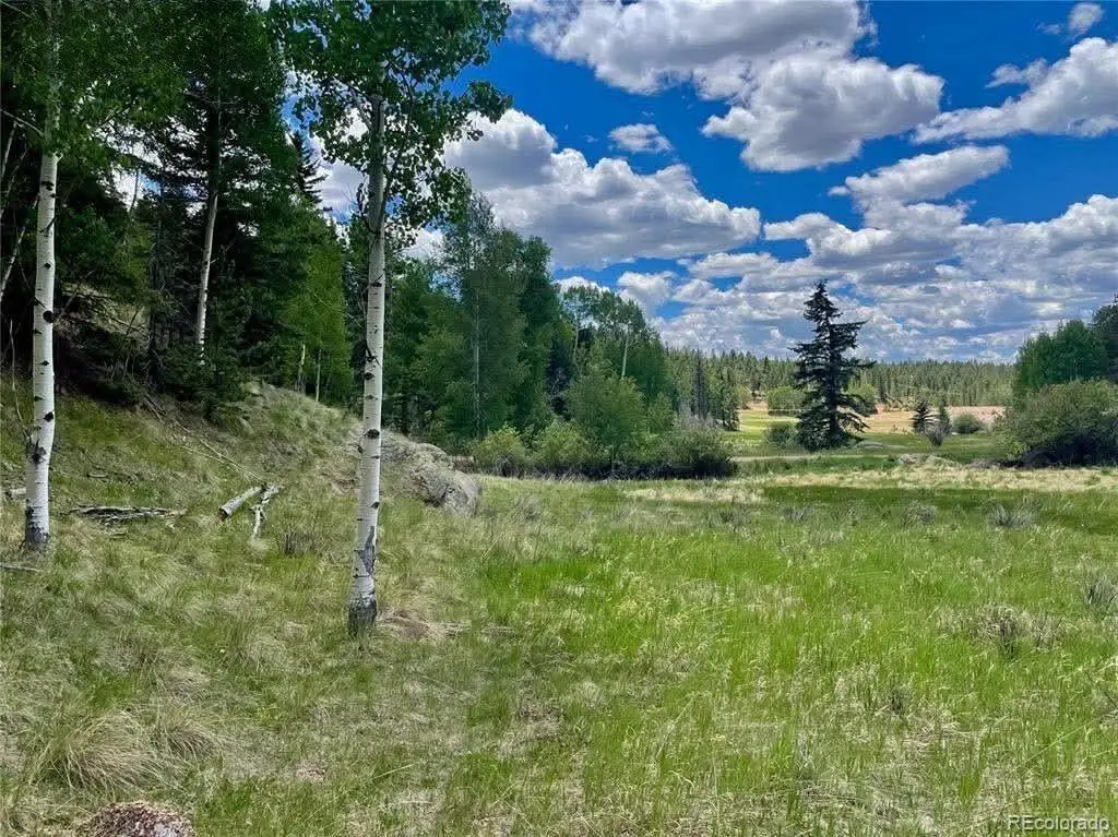 458 Arrowhead Road, Florissant, CO 80816 - #1