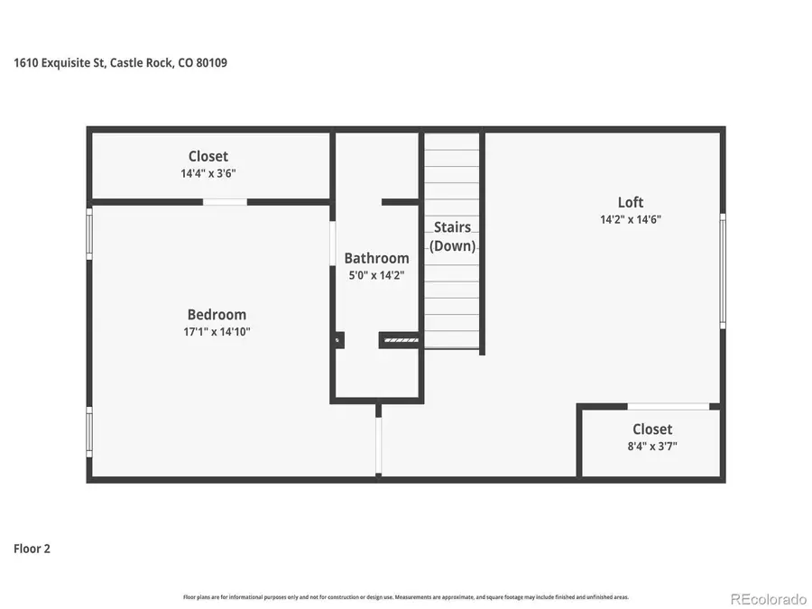 1610 Exquisite Street, Castle Rock, CO 80109 - #2