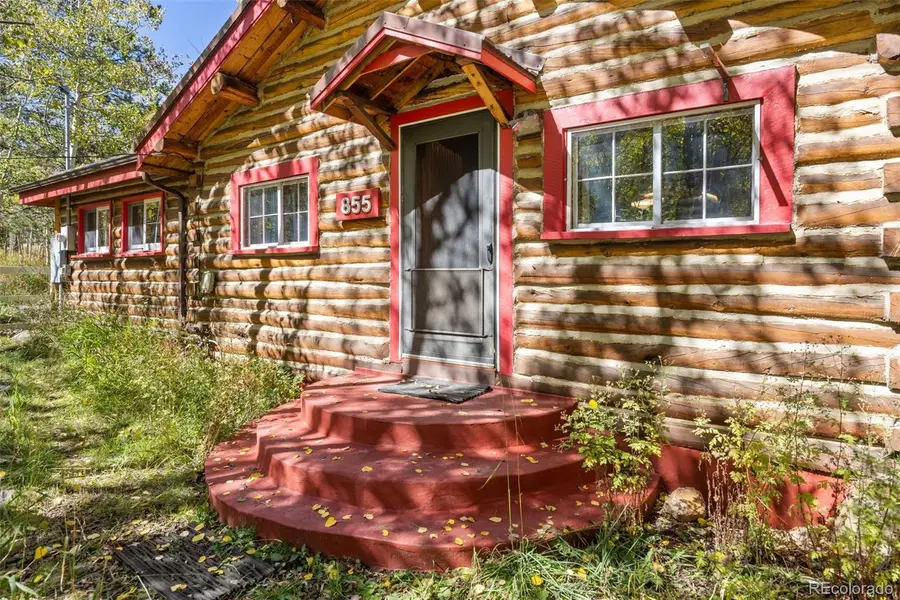 855 Eldorado Avenue, Nederland, CO 80466 - #3