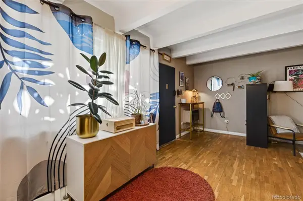 655 N Pearl Street #102, Denver, CO 80203