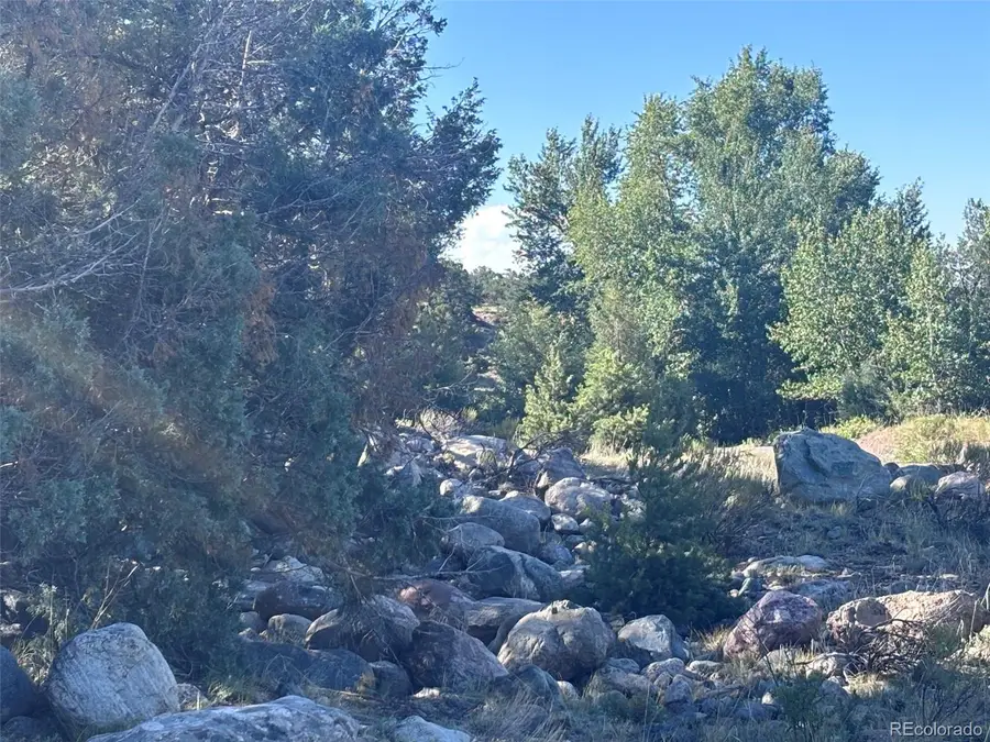 4333 Camino Baca Grande, Crestone, CO 81131 - #3