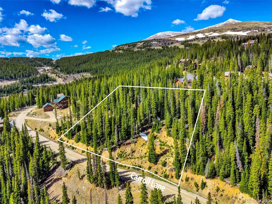 413 Carroll Lane, Breckenridge, CO 80424 - #3