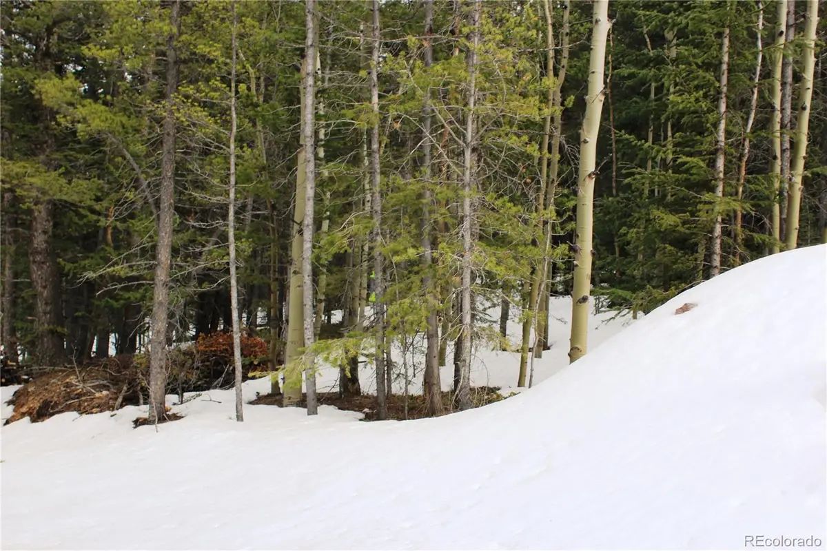 00 Miners Mesa Road, Black Hawk, CO 80422 - #1