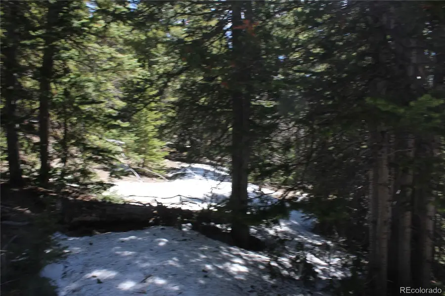 00 Miners Mesa Road, Black Hawk, CO 80422 - #3