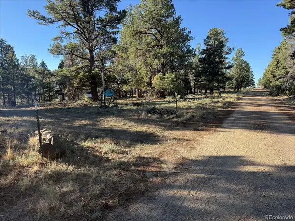 Lot 164 Tahmoush Lane, Fort Garland, CO 81133