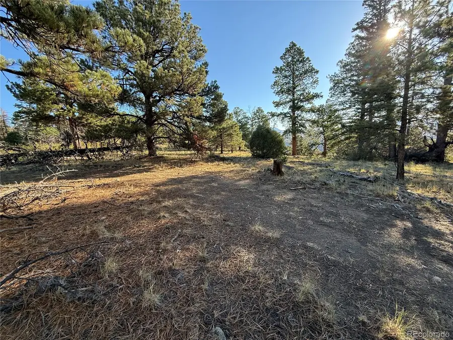 Lot 164 Tahmoush Lane, Fort Garland, CO 81133 - #3