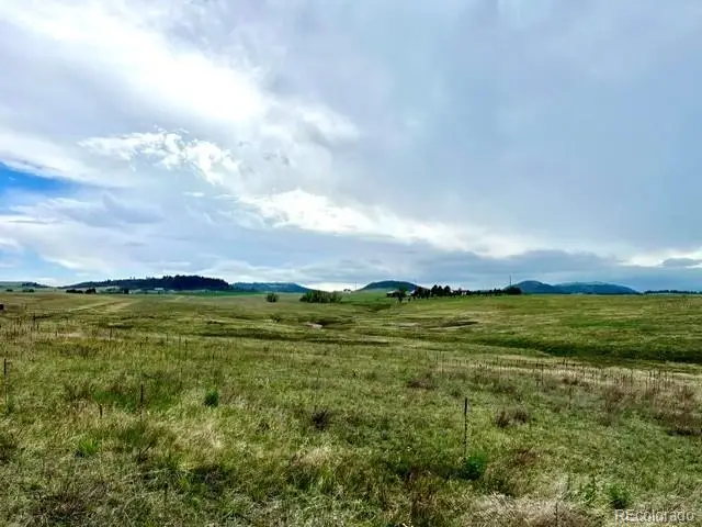 11977 Haskell Creek Road, Larkspur, CO 80118 - #2