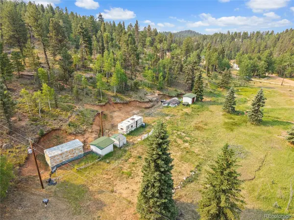 974 W Bison Creek Trail, Divide, CO 80814