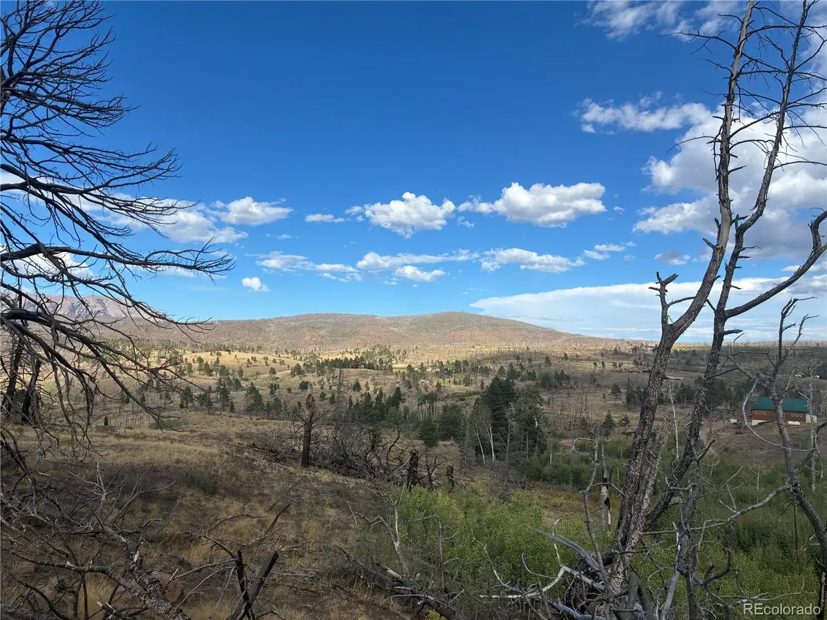 LOT 790 Duckworth Drive, Fort Garland, CO 81133 - #1