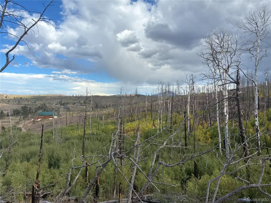 LOT 790 Duckworth Drive, Fort Garland, CO 81133 - #2