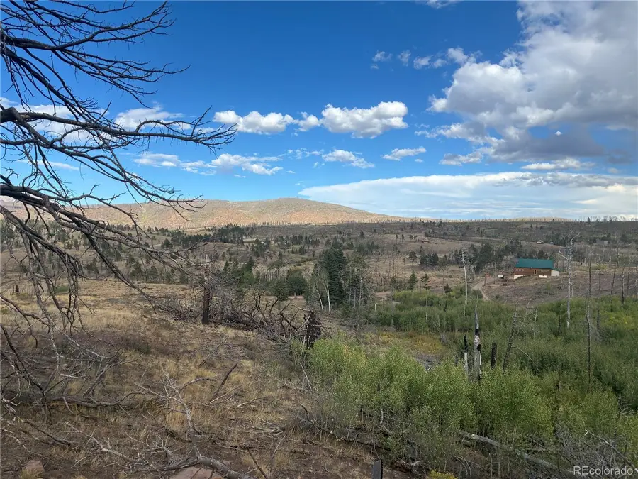 LOT 790 Duckworth Drive, Fort Garland, CO 81133 - #3